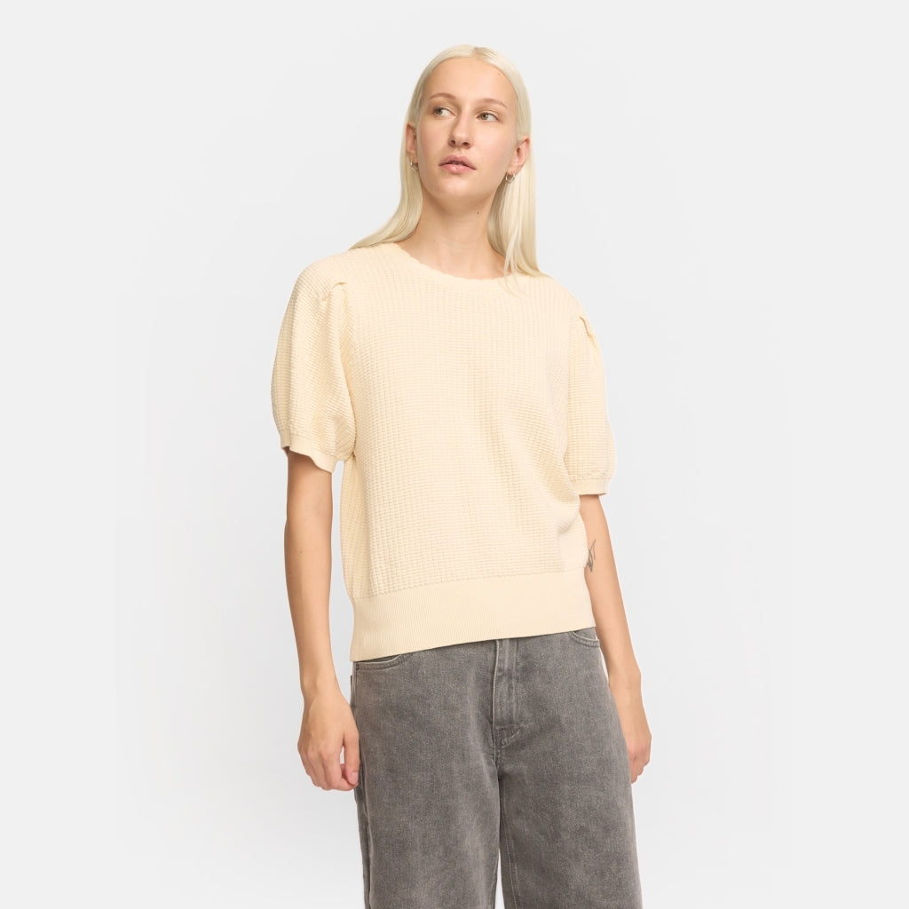Soft Rebels May Strik Arctic Wolf