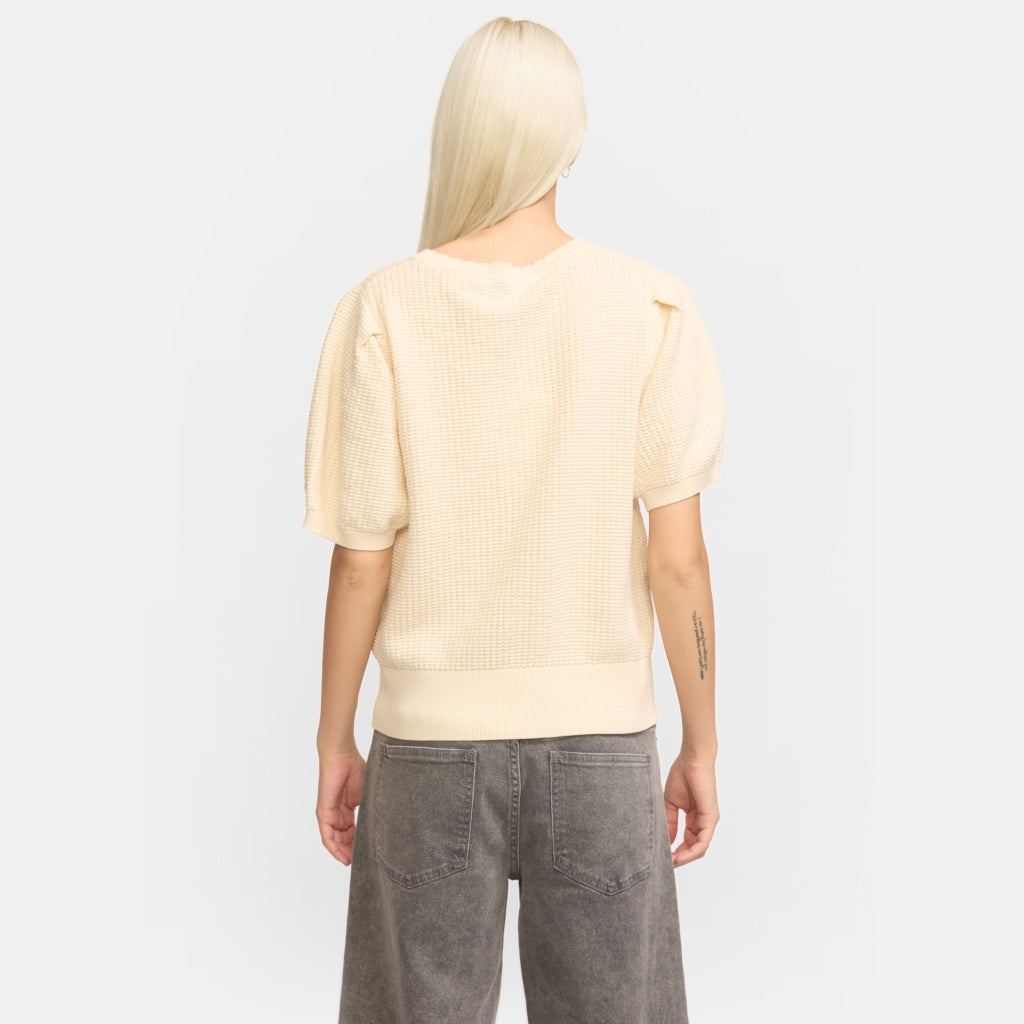 Soft Rebels May Strik Arctic Wolf