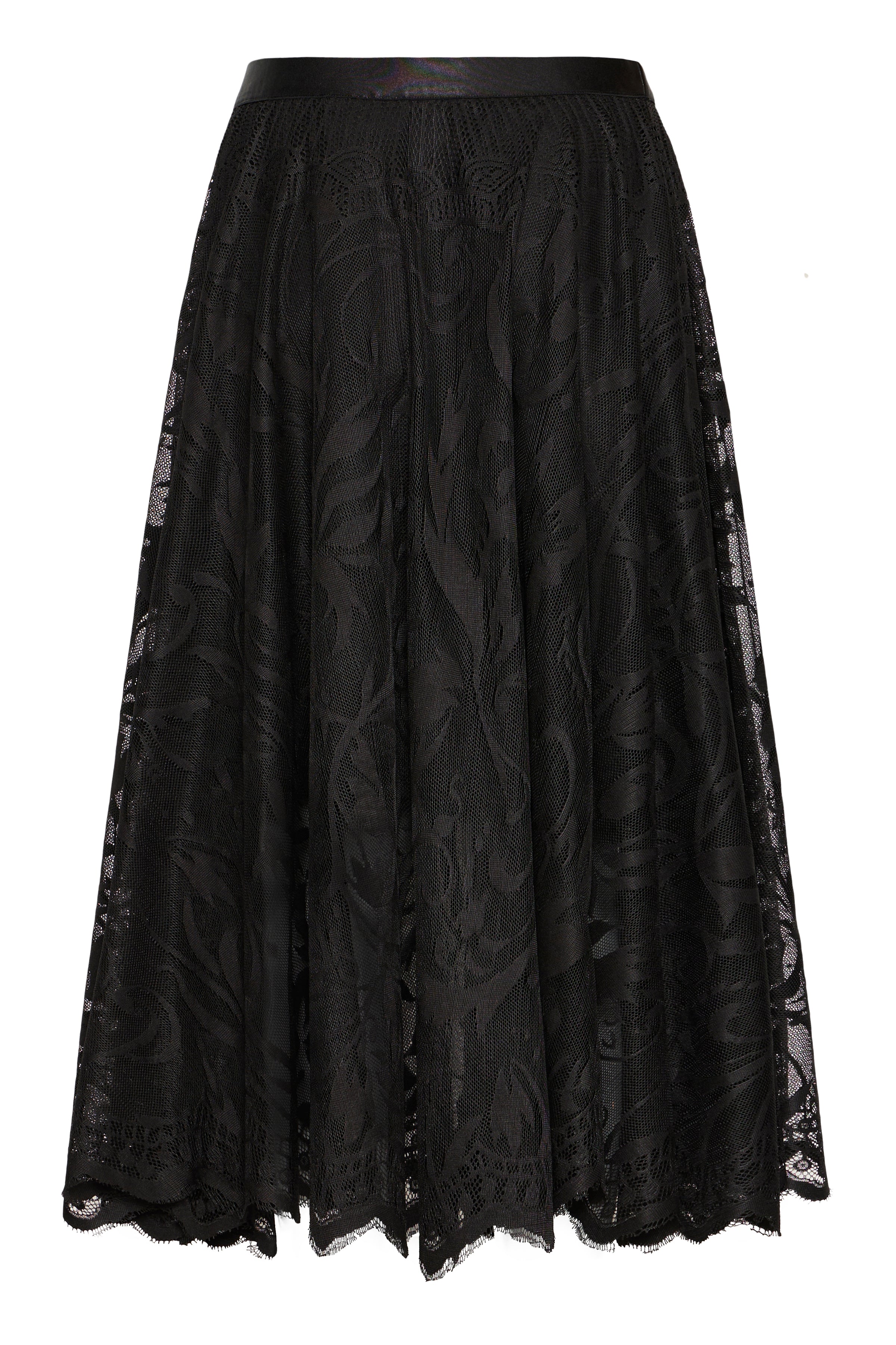 Fransa Lacia Nederdel 1 Meteorite Sort