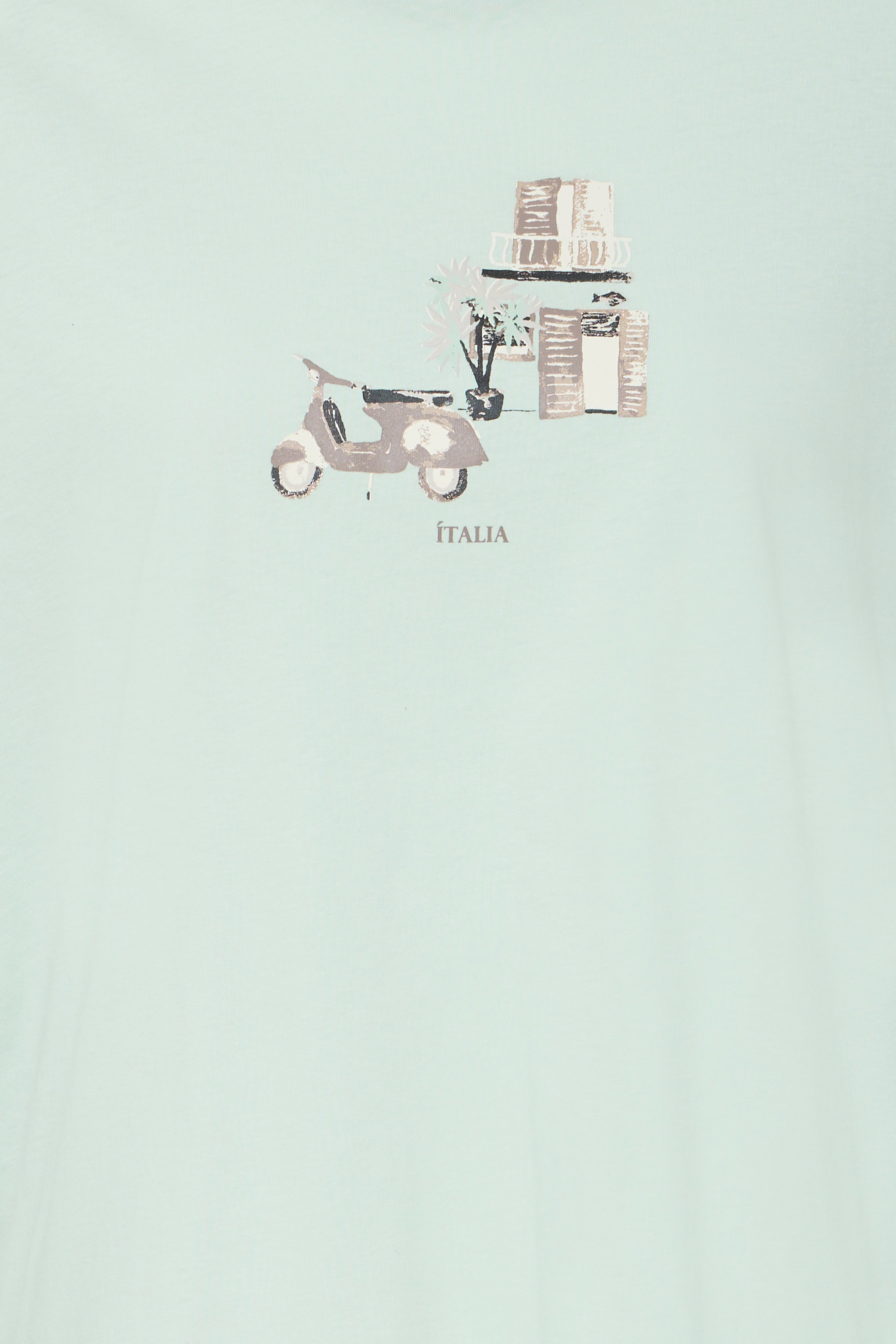 Fransa Finley T-shirt 1 Vespa Sava Grøn